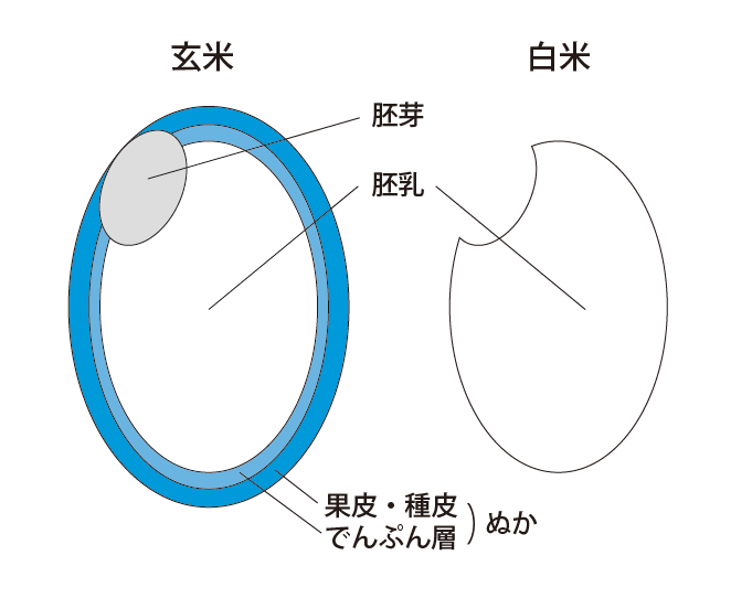玄米