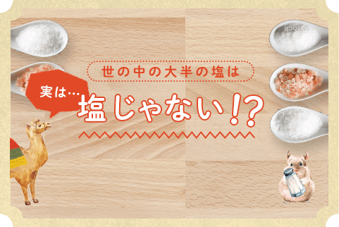 世の中の大半の塩は実は塩じゃない！？