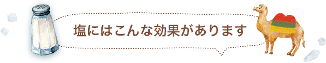 塩にはこんな効果があります